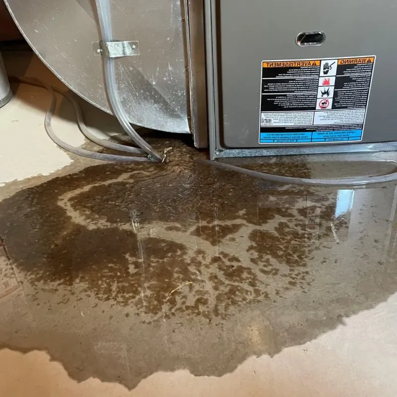 Pipe Burst and Leak Restoration in Rawlins, WY